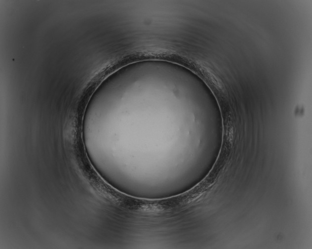 X0000089960591200707131539