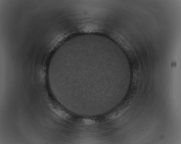X0000089960592200707131539