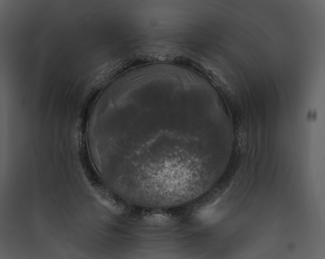 X0000089960594200707131539