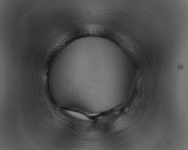 X0000089960595200707131539