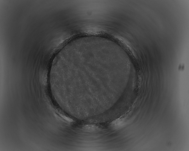 X0000089960596200707131539