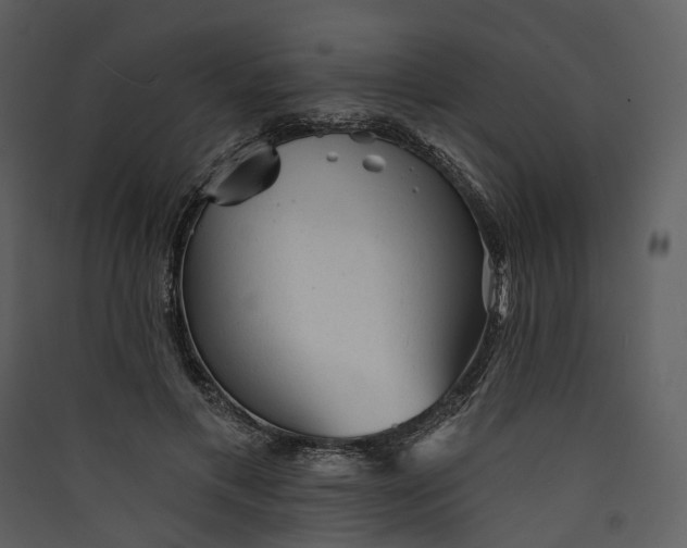 X0000089960597200707131539