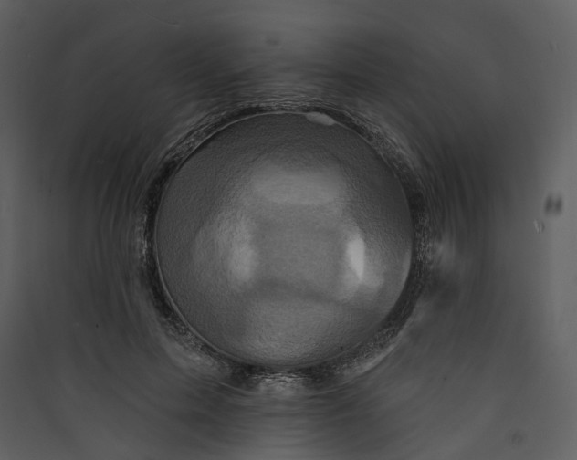 X0000089960599200707131539