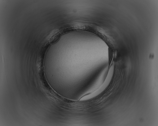 X0000089960600200707131539
