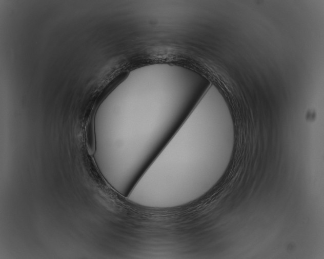 X0000089960601200707131539