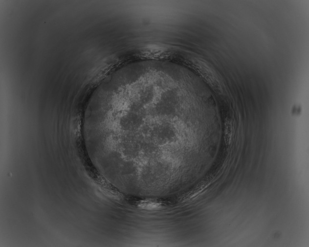X0000089960602200707131539