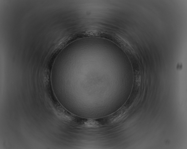 X0000089960603200707131539