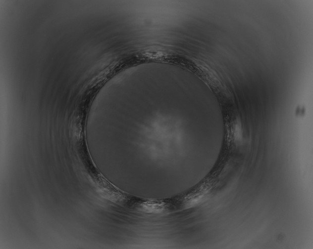 X0000089960606200707131539