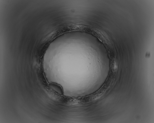 X0000089960607200707131539