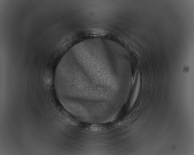 X0000089960608200707131539