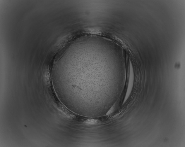 X0000089960609200707131539
