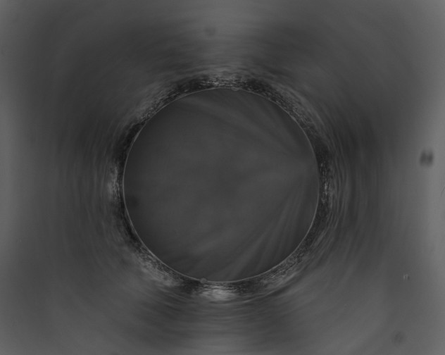 X0000089960610200707131539