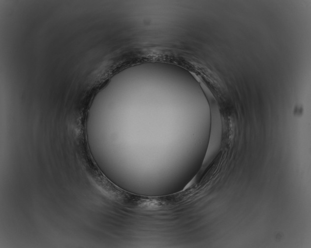 X0000089960611200707131539