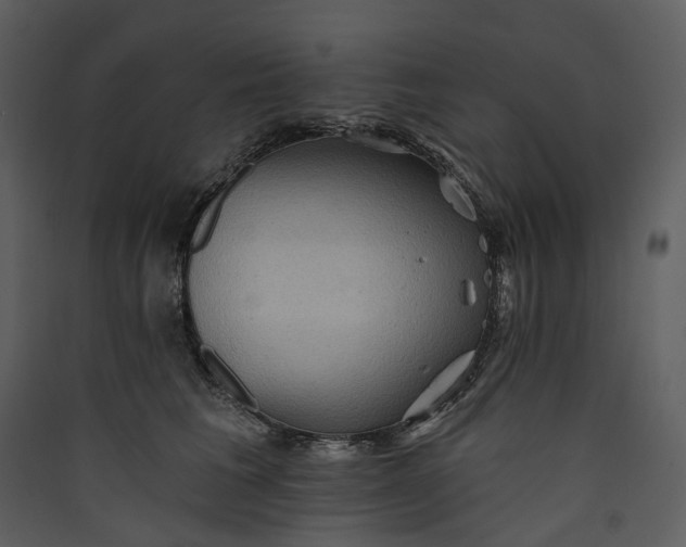 X0000089960613200707131538