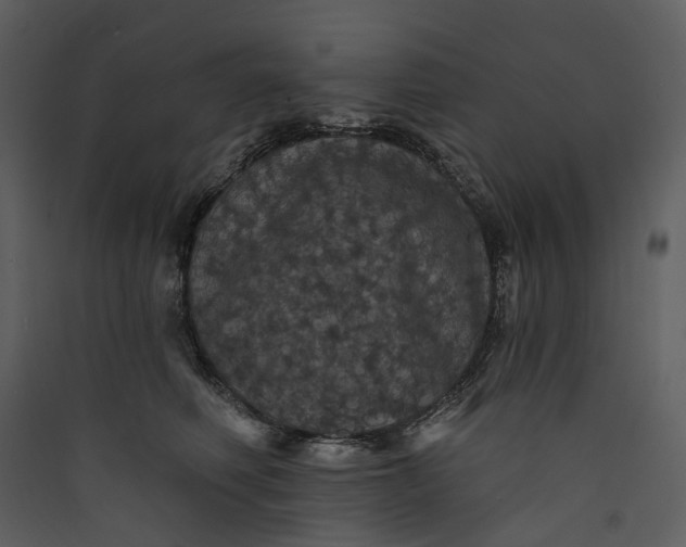 X0000089960614200707131538