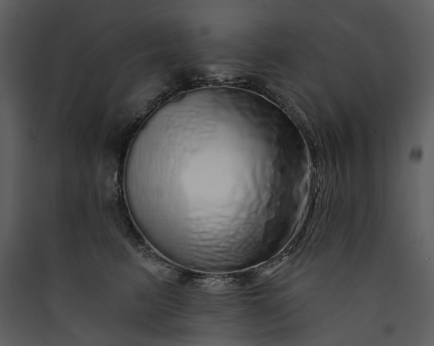 X0000089960615200707131538