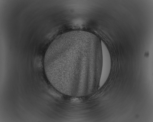 X0000089960616200707131538