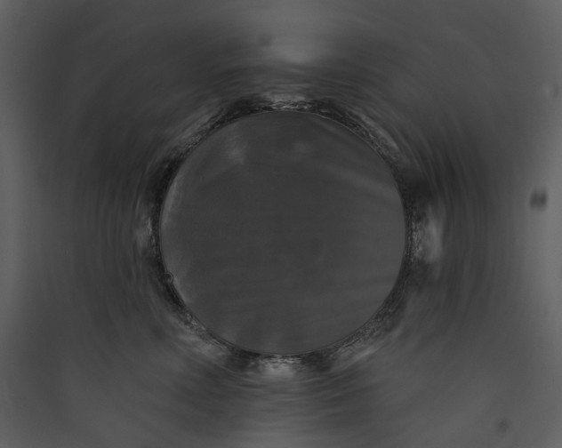 X0000089960618200707131538