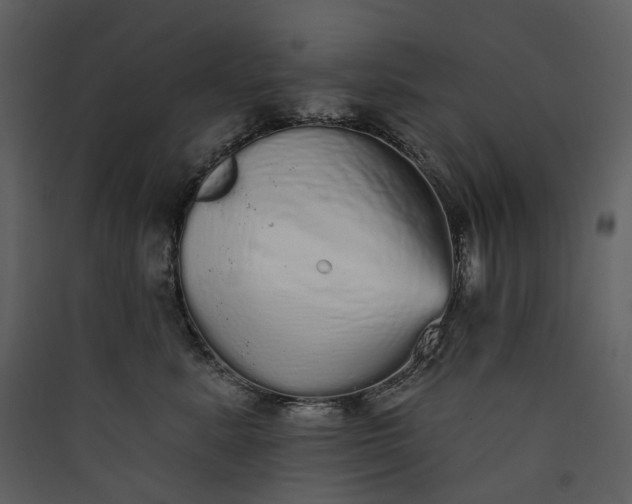 X0000089960619200707131538