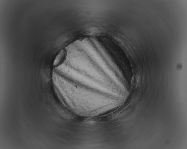 X0000089960620200707131538