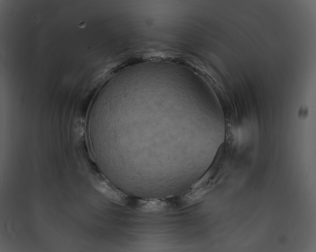 X0000089960621200707131538