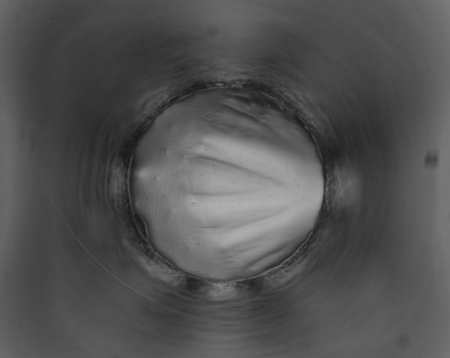 X0000089960623200707131538