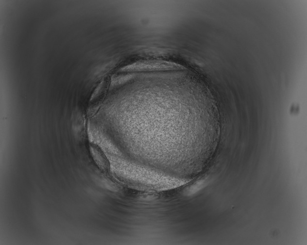 X0000089960624200707131538