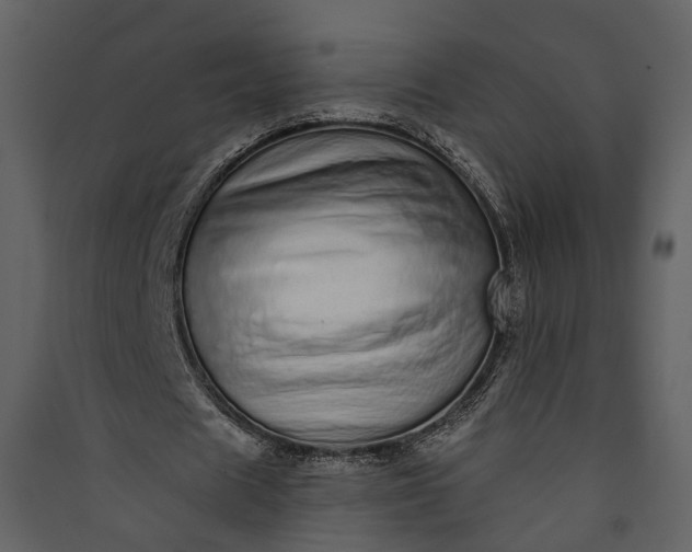 X0000089960625200707131538