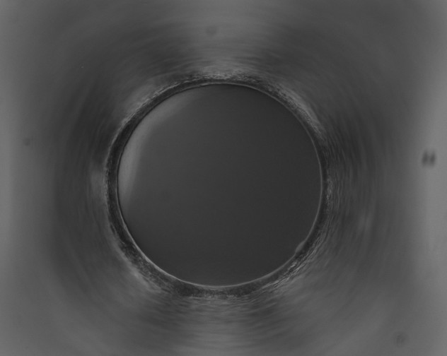 X0000089960626200707131538