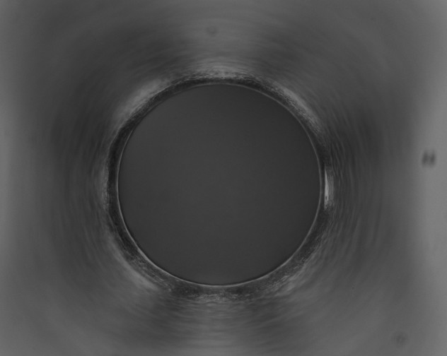 X0000089960627200707131538