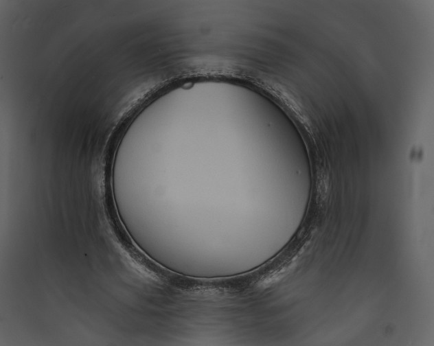 X0000089960629200707131538