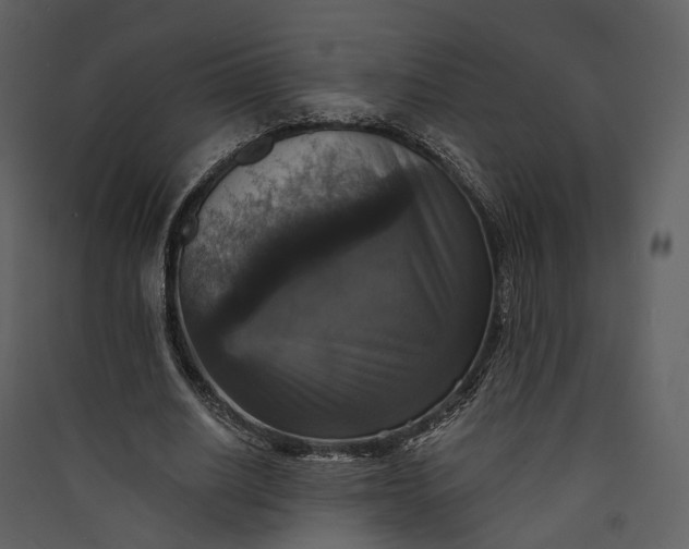 X0000089960630200707131538