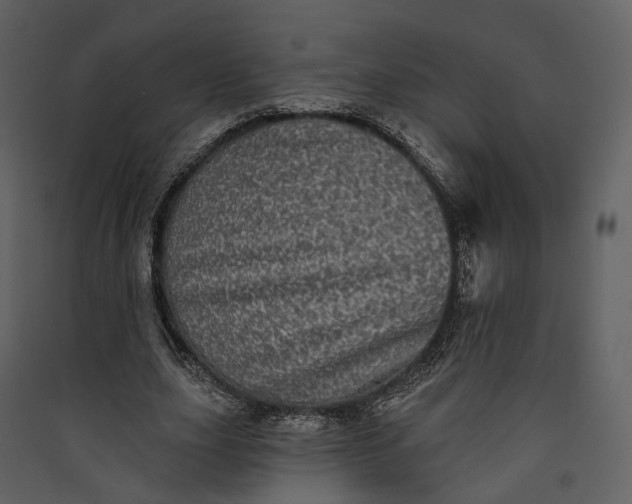 X0000089960631200707131538