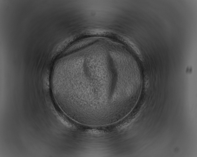 X0000089960633200707131538