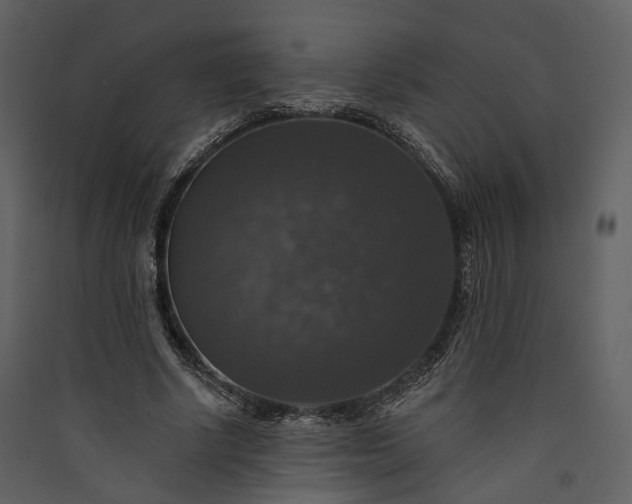X0000089960634200707131538
