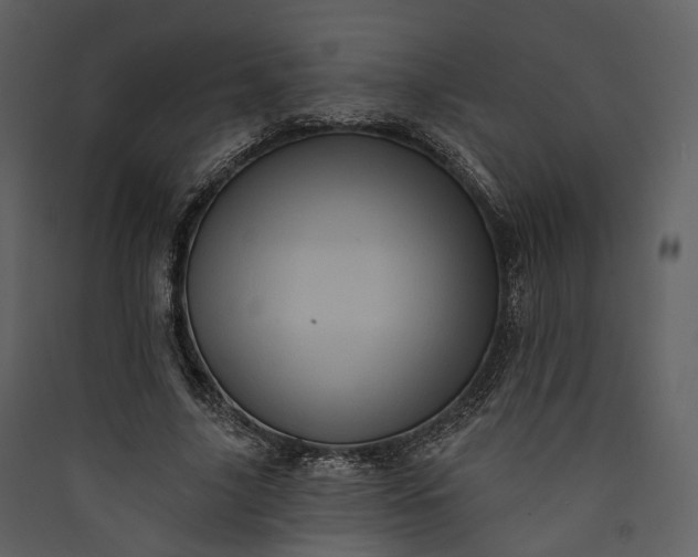 X0000089960635200707131538