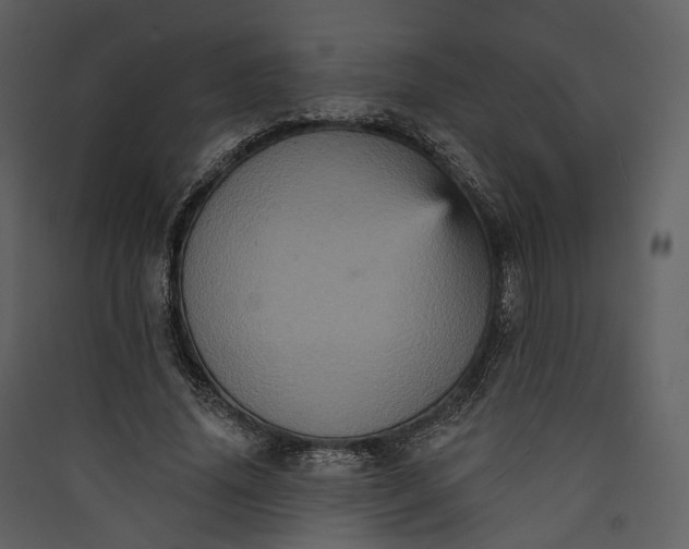 X0000089960636200707131538