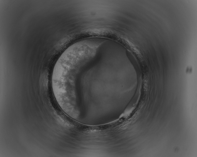 X0000089960637200707131538