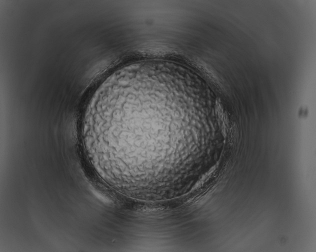 X0000089960638200707131538