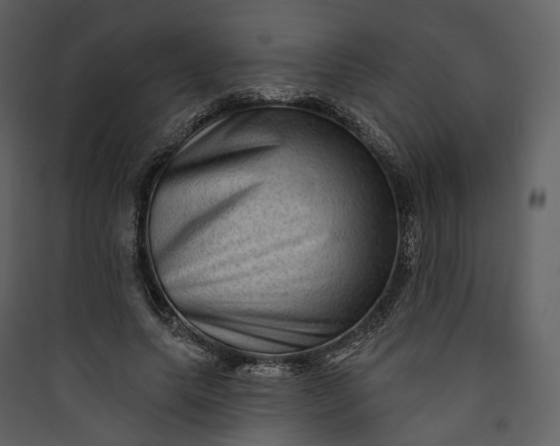 X0000089960639200707131538