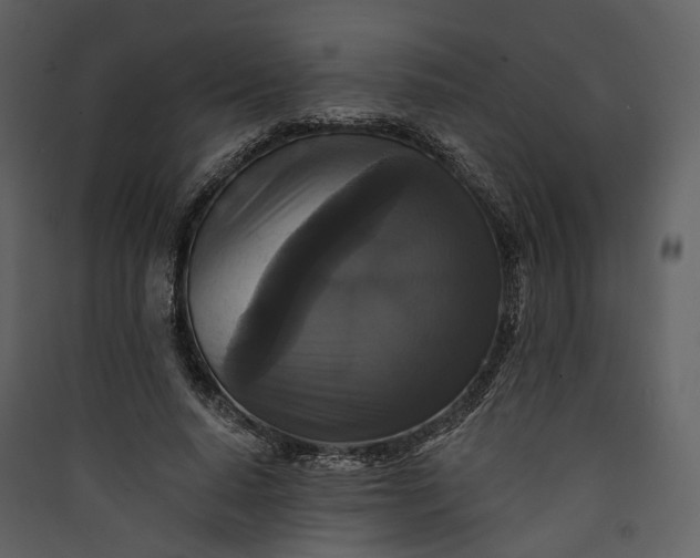 X0000089960640200707131538