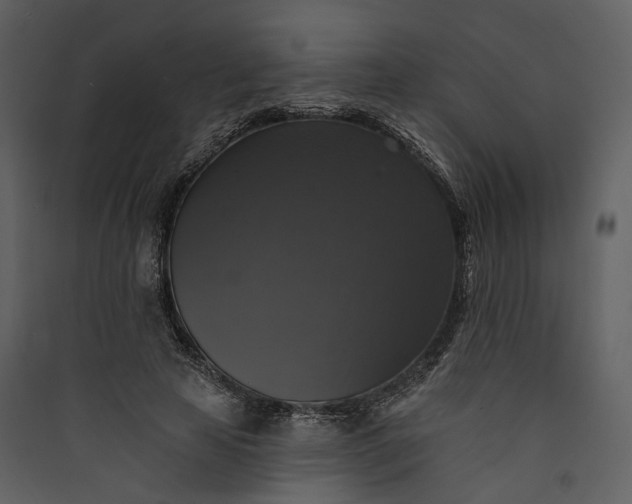 X0000089960641200707131538