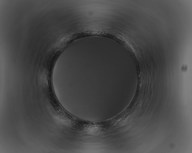X0000089960643200707131538