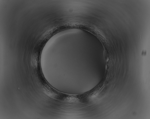 X0000089960644200707131538