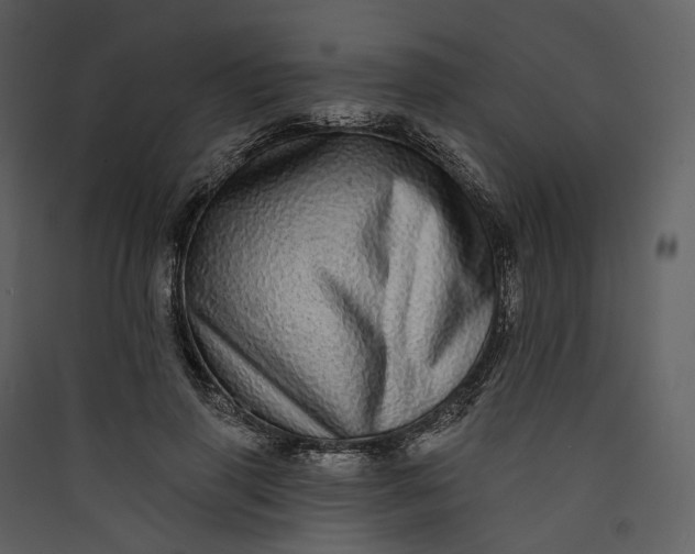 X0000089960645200707131538