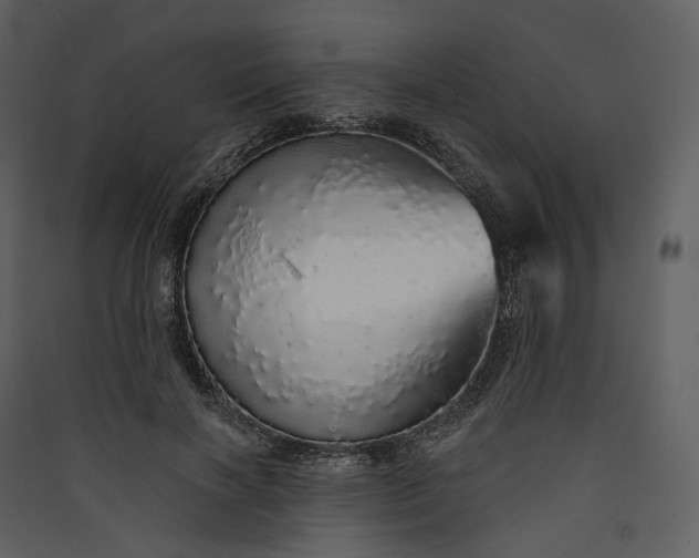 X0000089960646200707131538