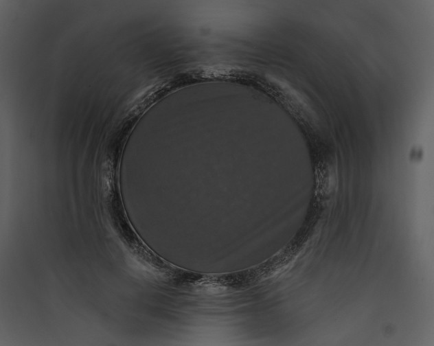 X0000089960648200707131538