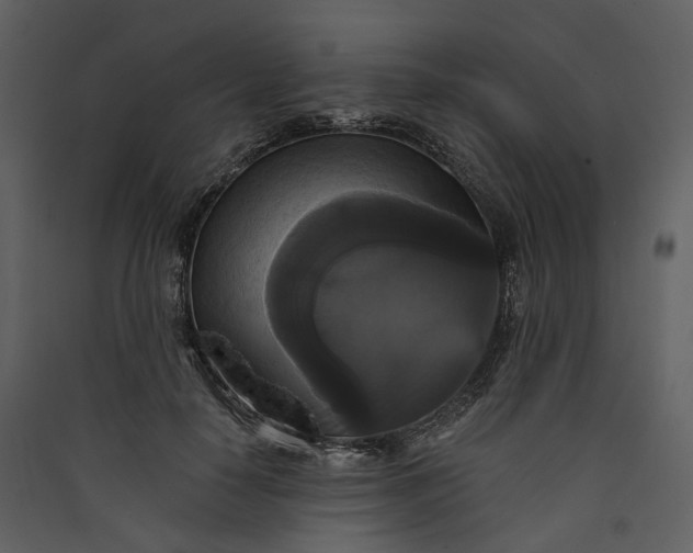 X0000089960650200707131538