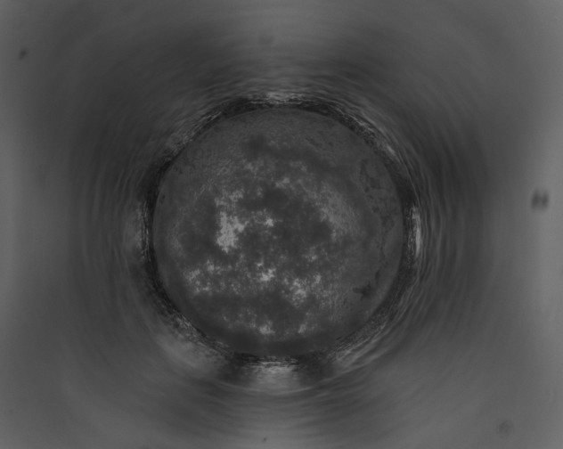 X0000089960651200707131538