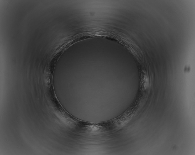 X0000089960654200707131538